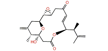 Amphidinolide O